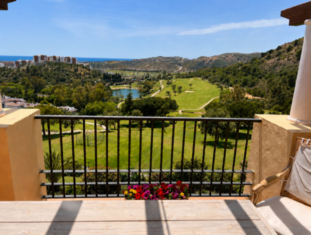View from Downstairs Terrace